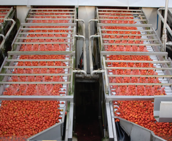 processo alimentos